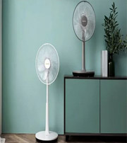 东莞当心！别贪图夏日的“凉爽”而赶走了你的财运