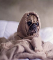 东莞有这样的手机号码，留不住钱，你中枪了吗？