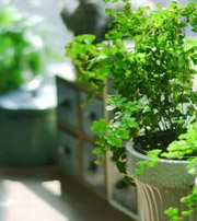 东莞专属于你的开运指南，助你鸿运当头福满身！