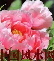 东莞预示你财运上升，姻缘可成的梦境，快来看看吧！