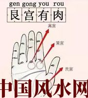 东莞这个地方肉越多,财运就越好