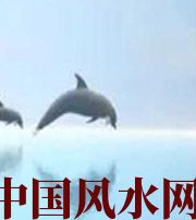 东莞做梦梦到这些,是要富裕的征兆!