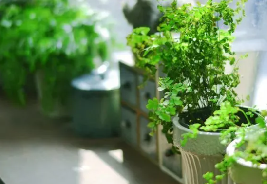 1632709031682816.png image.png