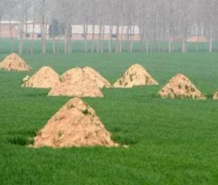 东莞阴宅风水：形峦三十六绝